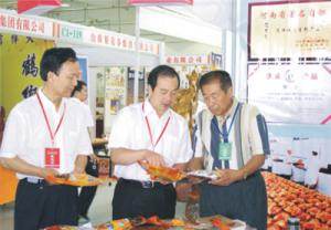 原安陽(yáng)市市長(zhǎng)董永安、副市長(zhǎng)陳明今到公司調(diào)研